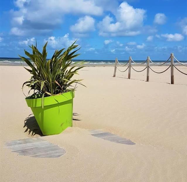 Lesparisnormands - Magnifique Vue Mer - Centre Et Plage Villers-sur-Mer Eksteriør bilde
